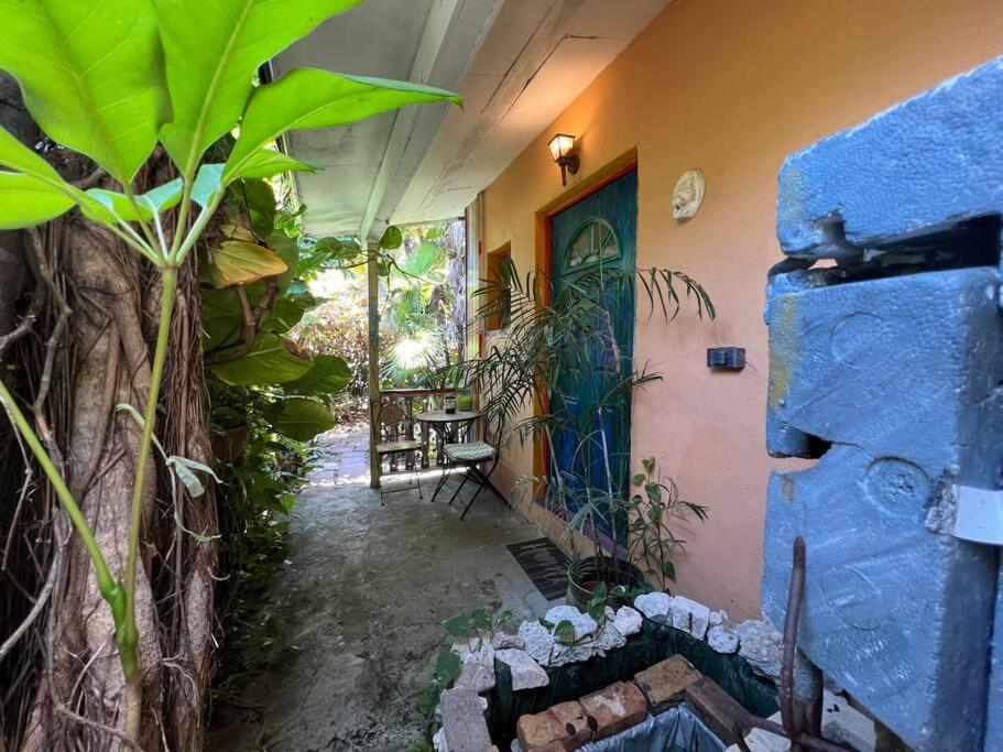 Miami Bungalow Oasis Near Everglades & The Keys Катлер-Бей Экстерьер фото